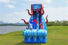 25ft ocean battle giant inflatable water slide with detachable pool for sale