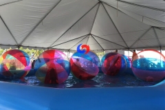 10Pcs Big 2m PVC inflatable water rolling ball with 30ft*30ft pool, walk on water balls for sale