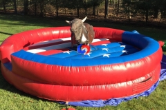 American flag theme mechanical rodeo bull ride,custom inflatable bull riding machine for sale