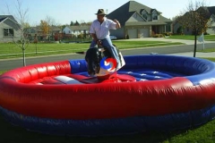 American flag theme mechanical rodeo bull ride,custom inflatable bull riding machine for sale