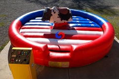 American flag theme mechanical rodeo bull ride,custom inflatable bull riding machine for sale