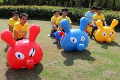 summer camp site sanatorium Team events Inflatable tube Torpedo Caterpillar for relay races corporate parties